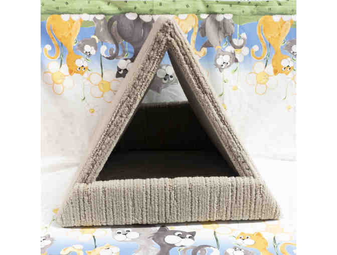 A-Frame Cat Scratcher and Carrier Combo