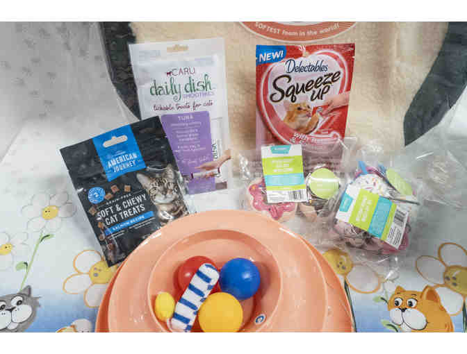 Ready to Pawty! Bundle