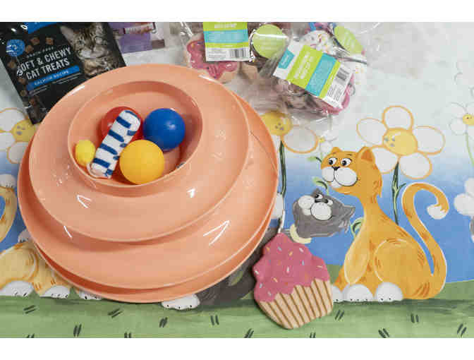 Ready to Pawty! Bundle