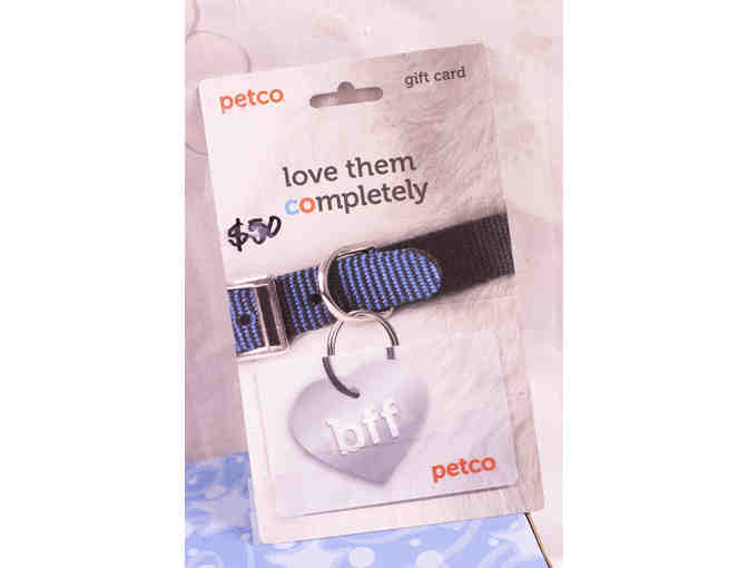 WhimsiClay 'Delirious' Cat Figurine AND Petco GC