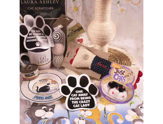 'Cats Meow' Cat Package