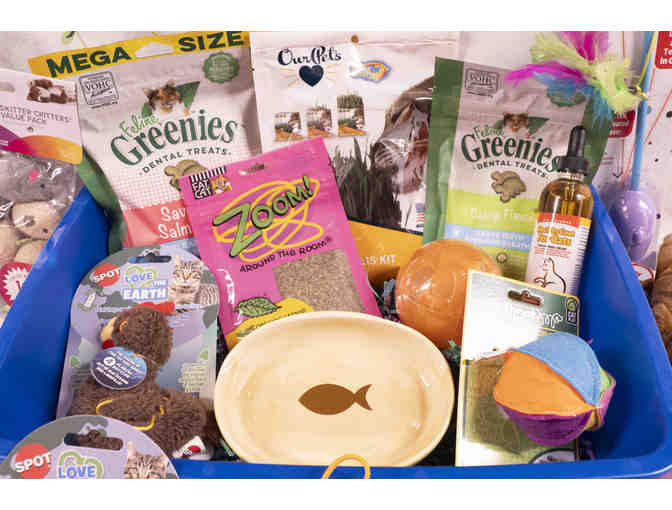 Allies Pets Kitty Fun Package!