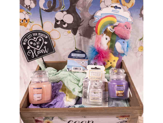 Good Vibes Box of Goodies