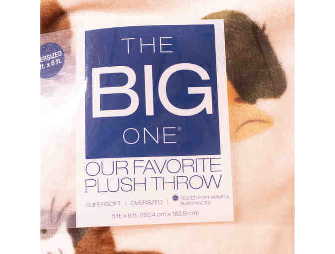 Sleeps with the Kitties!