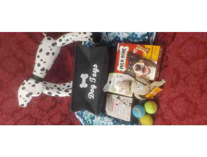 DOG PLAY/TREAT/SLEEP SET