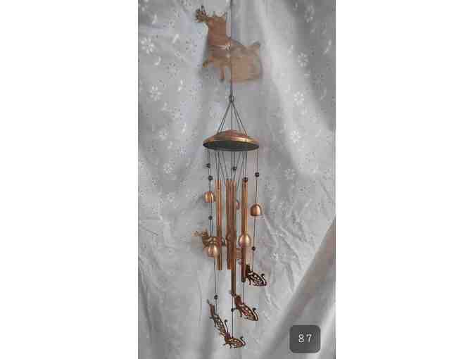 BIRDS AND CATS IN YOUR GARDEN!