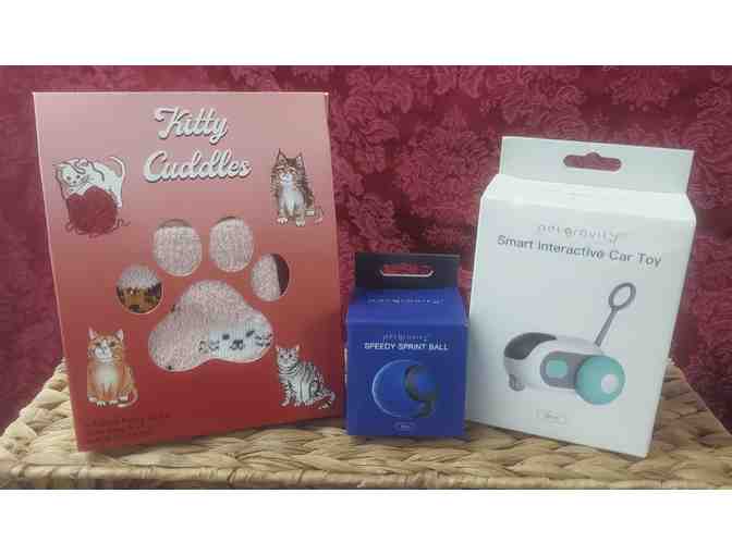 BLACK CAT BASKET 'CURIOSITIES'