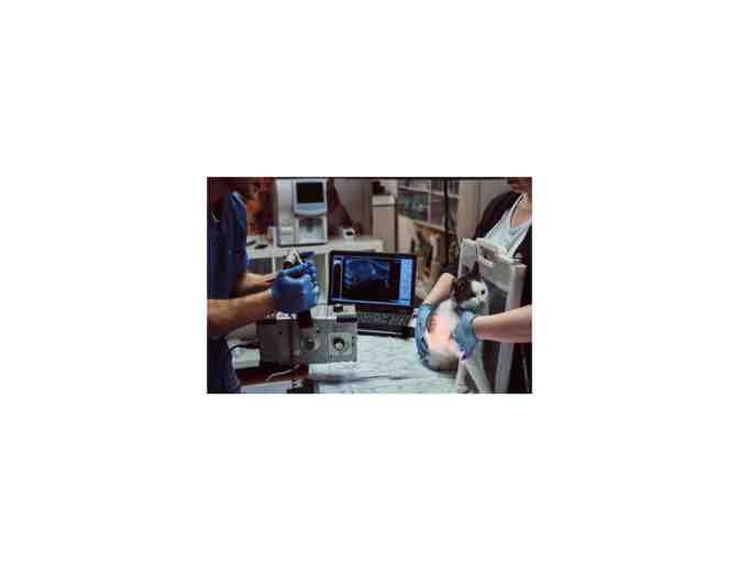 BE A HERO! -- EMERGENCY HOSPITAL FUND