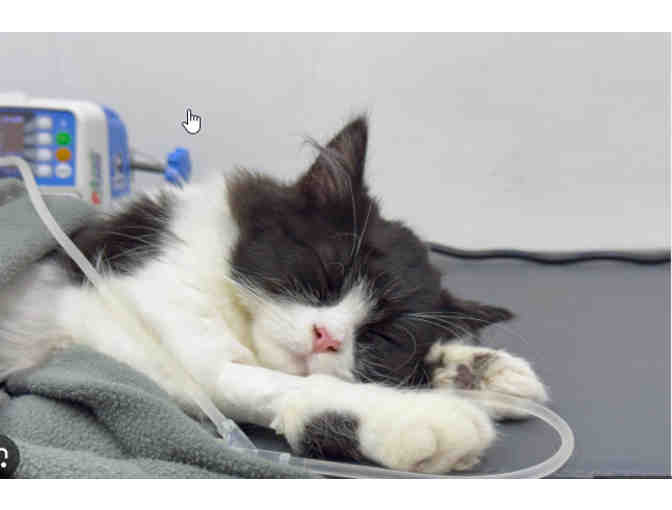 BE A HERO! -- EMERGENCY HOSPITAL FUND