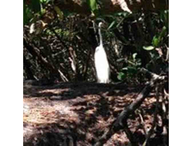 Kayak Adventure - 2 hour Kayak tour for up to 5  people with Mr. Lenerz