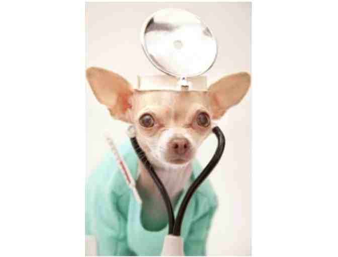 Canine Care Package from Laurel Road Veterinary Clinic