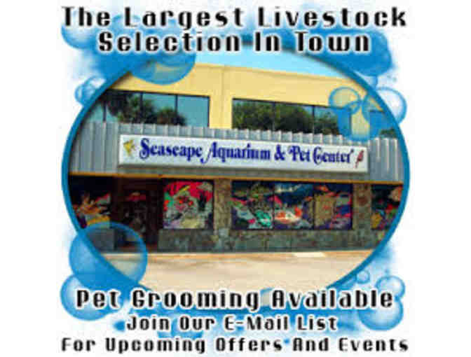 Seascape Aquarium: $99 Glow Fish Aquarium