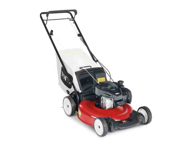Toro 21 in. Recycler Variable Speed Self-Propel Gas Lawn Mower