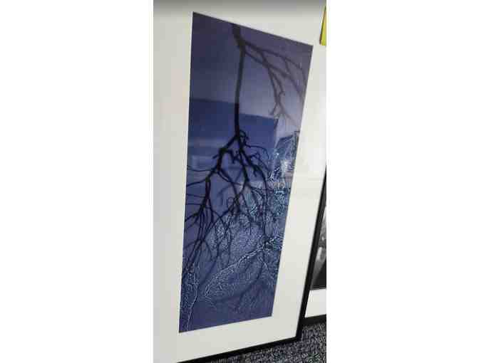 Winter Branches - Framed Office Art 19' x 31'