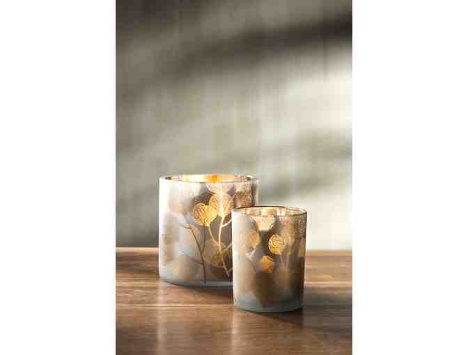 4 Silver Dollar Glass Hurricanes from Viva Terra