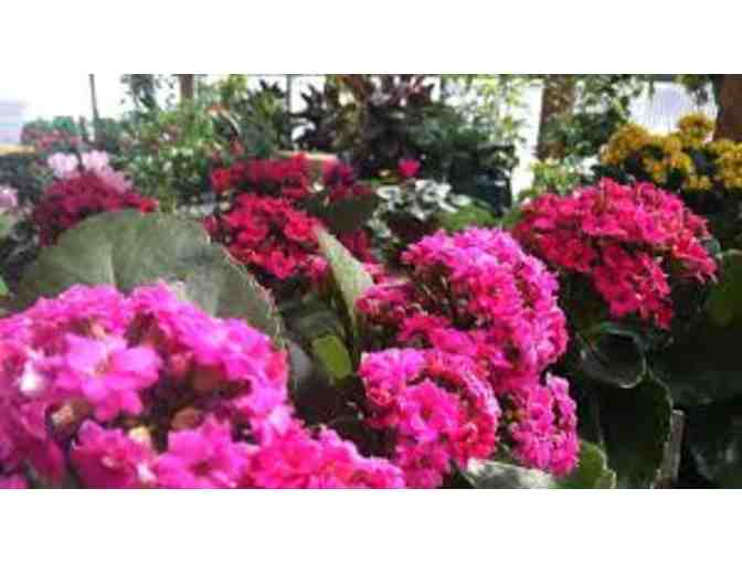 Two $50 Gift Cards - Skillins Greenhouses - 3 Locations Falmouth, Brunswick and Cumberland