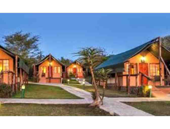 Zulu Nyala South Africa Photo Safari - Six Days and Six Nights for Two People!