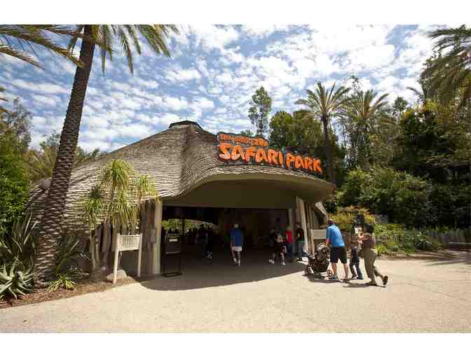 Campana- Kids Fun Passes