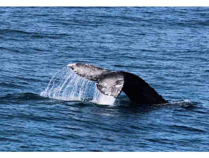 City Cruises - Sightseeing Cruise for 2