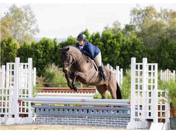 Huckleberry Lane Farms Horse Riding Lesson