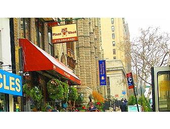 $30 Gift Certificate to Plant Shed