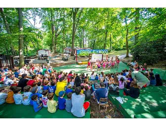 Shibley Day Camp - $1000 gift certificate