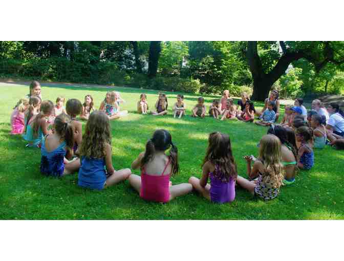 Shibley Day Camp - $1000 gift certificate