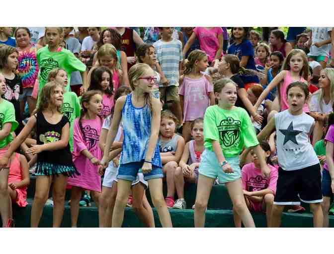 Shibley Day Camp - $1000 gift certificate