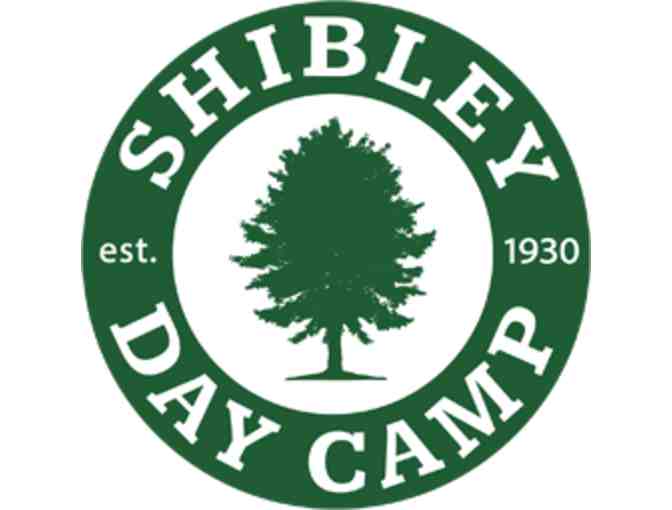 Shibley Day Camp - $1000 gift certificate