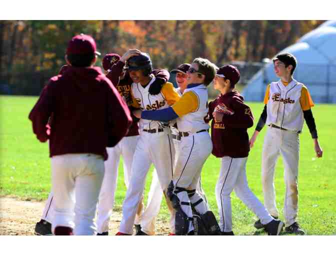 Yorkville Youth Athletic Assocation - One free spot in Spring Baseball League