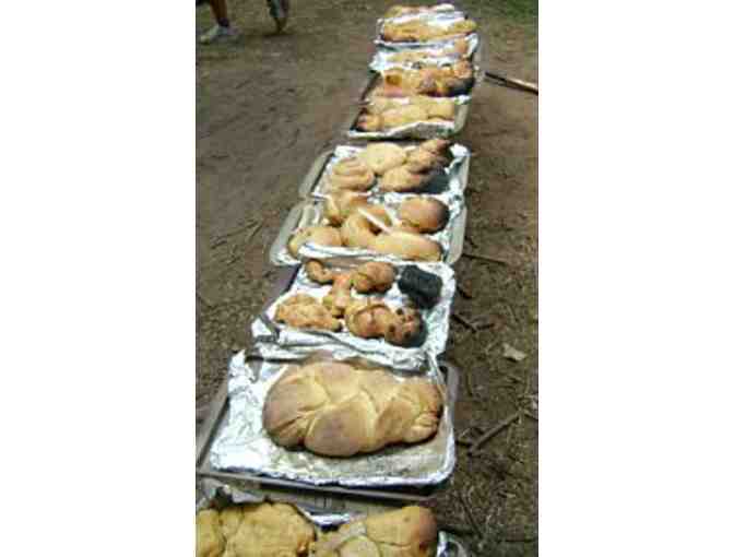 New Country Day Camp/14th Street YMHA - 10% off Summer 2019 tuition