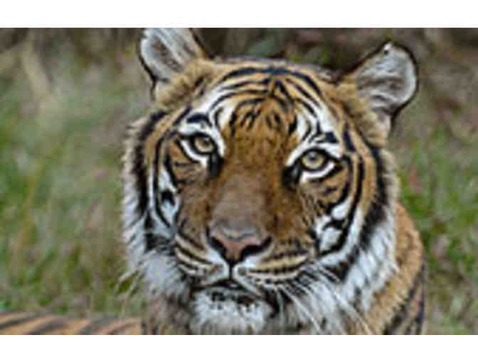 Bronx Zoo - Four (4) General Admissions Tickets