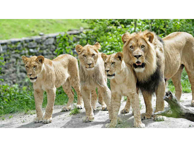 Bronx Zoo - Four (4) General Admissions Tickets