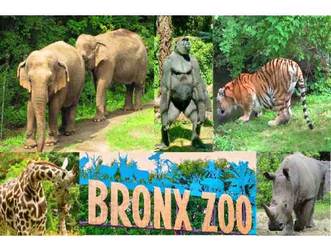 Bronx Zoo - Four (4) General Admissions Tickets