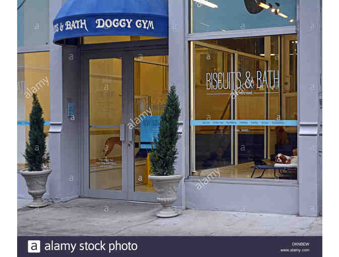 Biscuits & Bath - Day Care, Bath and Gold Membership