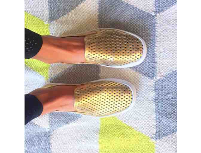 Jibs Sneaker - $150 gift certificate