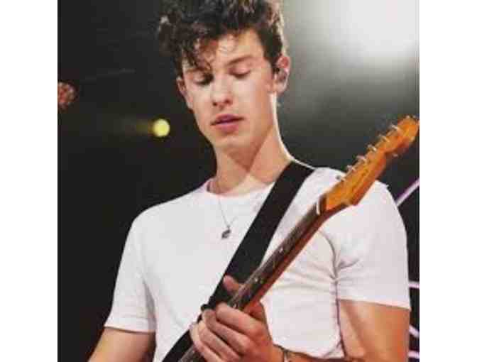 Shawn Mendes Concert - SUITE at Barclay's Center (Seats 16 People)