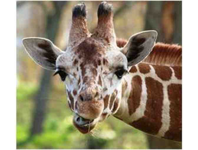 Indianapolis Zoo Admission for Two plus Parking