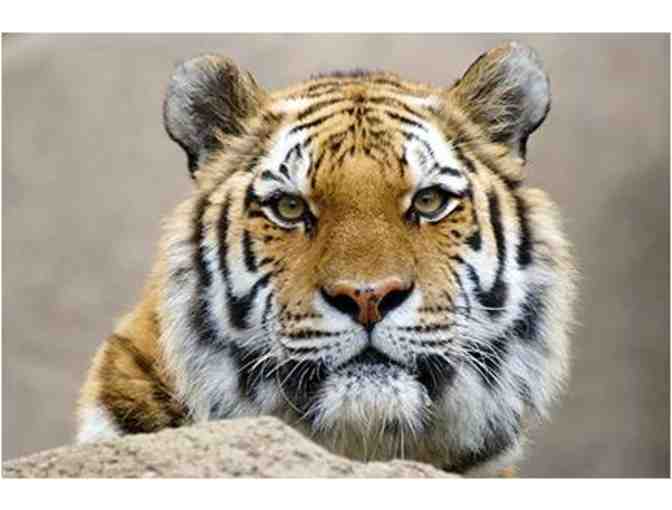 Indianapolis Zoo Admission for Two plus Parking