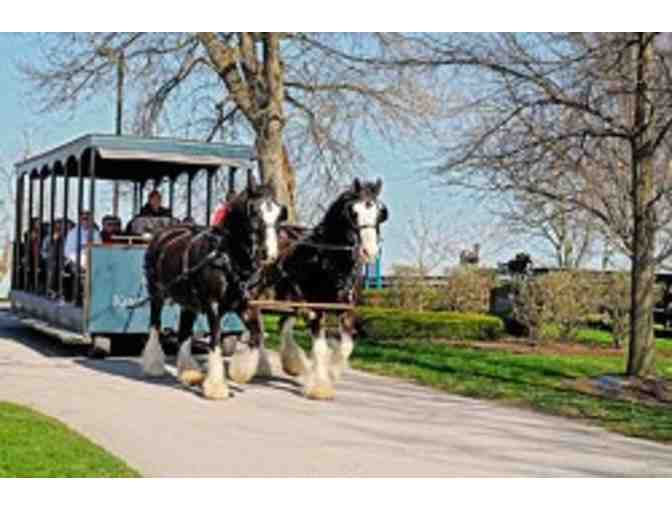 Kentucky Horse Park Family Four Pack