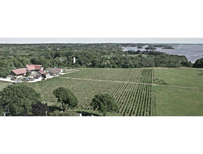 Drink Therapy: Private Tour and Tasting for 10