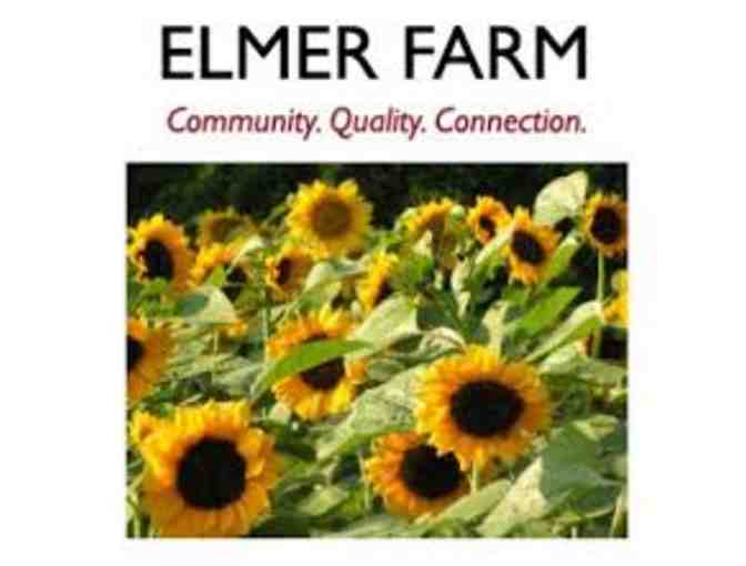 Elmer Farm: Pick Your Own Flower Share - Photo 1