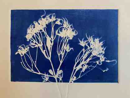 Original Mono Print by Pam Swatins