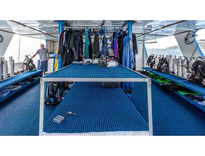 Seven Night Dive Trip Aboard MV Bilikiki in the Solomon Islands