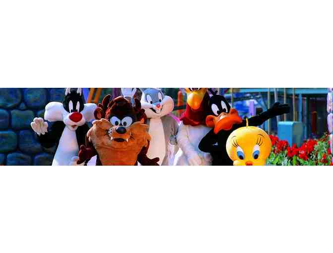 Two Tickets for Six Flags Magic Mountain