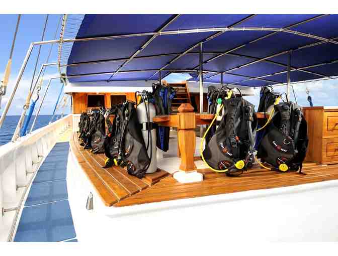 Seven Night Liveaboard Trip to Palau with Siren Fleet