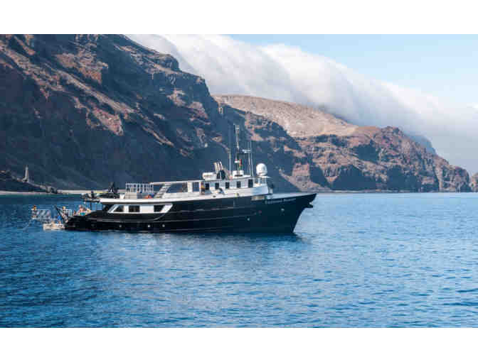 Shark Diver Gift Certificate for Great White Shark Dive