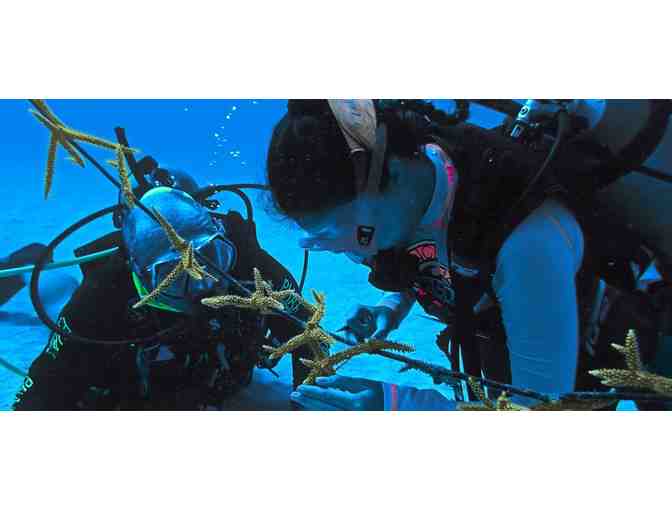 Guided Dive Tour for Two on San Andres Island, Colombia