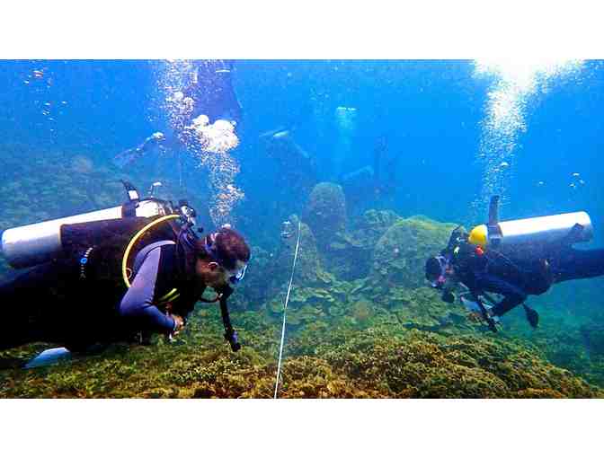 Guided Dive Tour for Two on San Andres Island, Colombia