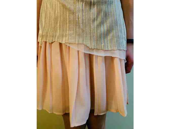 Dance Moms Episode 719 - Pink Skirt with Gold Top